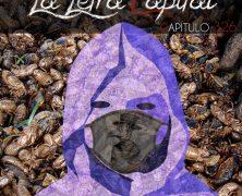 PODCAST CAPÍTULO 326 – AVALANCHAS E INSECTOS